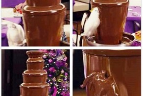 19 фотографий, точно описывающих настоящую жизнь