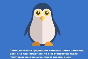 13 удивительных фактов о животных