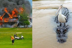 Так выглядит безразличие или им просто пофиг