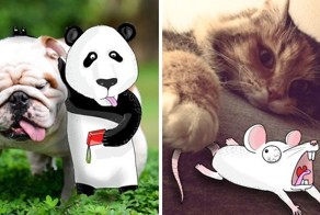 Игры с фотографиями незнакомцев