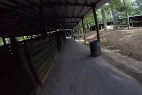 Ловкие акробатические трюки от сверхскоростного дрона