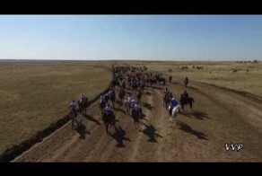 Как выглядит байга с высоты