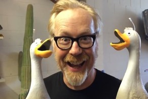 Ведущий «Разрушителей легенд» проверил на правдивость видео про «легион кричащих гусей»