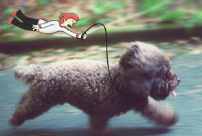 Осторожно! Вторжение маленьких монстров!