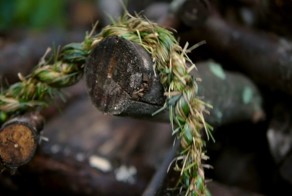 Как сплести веревку из травы