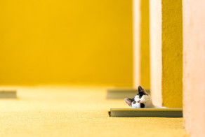 20 фотографий о достоинствах минимализма