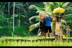 Там, где начинается рай: чудеса на Бали в разрешении 4K 