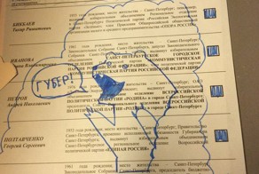 Я вас не выбираю: крик души в испорченных бюллетенях