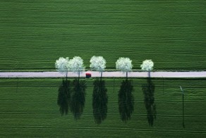 20 минималистических фотографий, на которых нет ничего лишнего