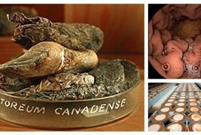 18 вещей, которые вы должны знать