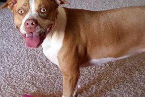 Минздрав вас уже устал предупреждать!