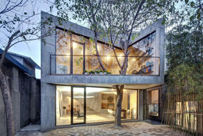 Здания, создатели которых отказались спиливать деревья