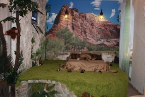 Квартира в стиле джунглей