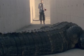 А ты умнее своего смартфона?