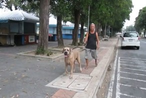 Мама всегда придет на помощь