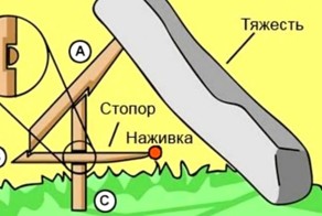 Один в лесу: 5 лучших ловушек для выживания