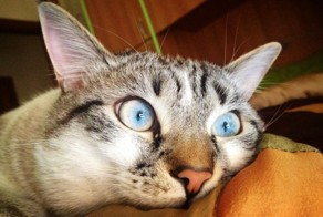 Всё, что вы думаете о своей работе, но никогда не скажете вслух