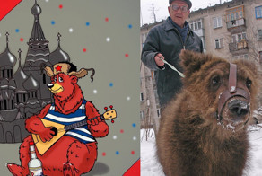 Дикие звери на улицах России. Стереотип или реальность?