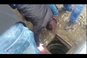 Автослесари спасли щенка из канализации