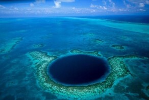 Самые интересные обитатели Марианского желоба