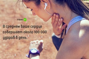 11 удивительных фактов о сердце, которые заставят ваше сердце биться чаще
