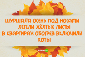 17 лучших стишков-пирожков и порошков об осени