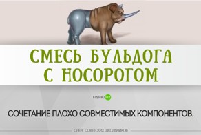Великий и могучий в исполнении школьника