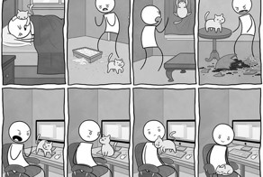 Смешные комиксы, которые поймут те, у кого есть кот