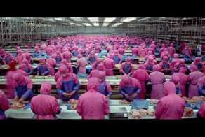 Реальность пищевой промышленности