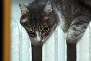 Жизнь до того как включили отопление