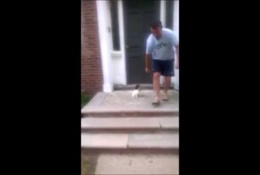 Щенок боится ступенек 