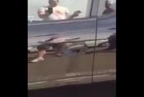 Огромный паук залез под ручку дверцы автомобиля