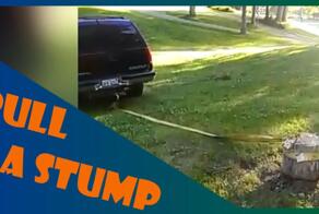 Это человеческая лень или глупость ?