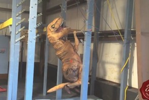 Стань сильнее или вымри!