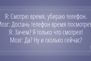 15 смешных открыток о нашем диалоге с мозгом