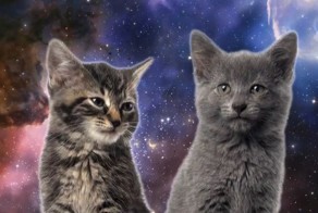 Лучший антидепрессант от Enjoykin! Space Cats - Magic Fly