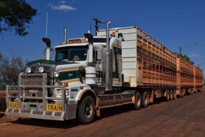 Дорожные поезда в Австралии