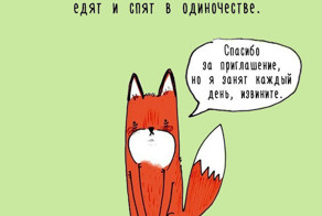 15 интересных фактов о животных, поданных оригинальным образом