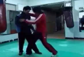 Демонстрация различных видов боевых искусств