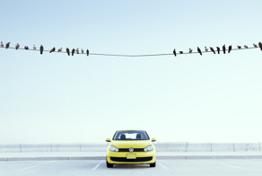 Смешные фотографии неисправимого оптимиста