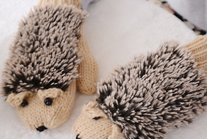 42 очаровательных товара для тех, кто любит ёжиков 