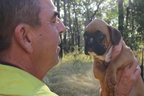 Пожарный спас щенка и подарил ему прекрасную жизнь