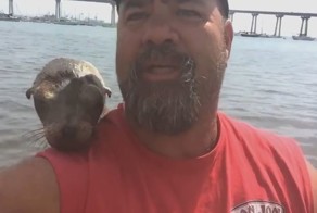 Маленький тюлень запрыгнул в рыбацкую лодку, чтобы найти себе нового друга