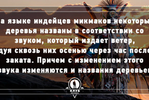 9 интересных фактов об осени