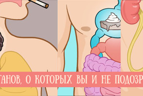 10 тайных органов человеческого тела, о которых вы и не подозревали