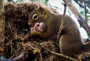 25 фотографий, поражающие тем, насколько вовремя они сделаны