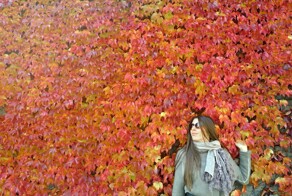 Яркие краски осени