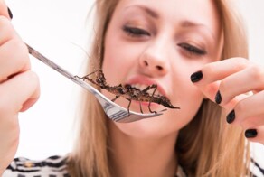 Самые ужасные блюда мира