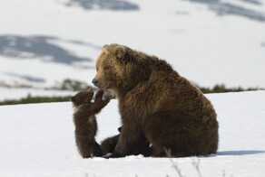 Сезон с Лесфильмом, или фоторепортаж длиною в 8 месяцев
