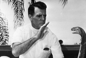 Житель Майами Билл Хааст, известный как “Человек змея”, перенёс больше 170 укусов